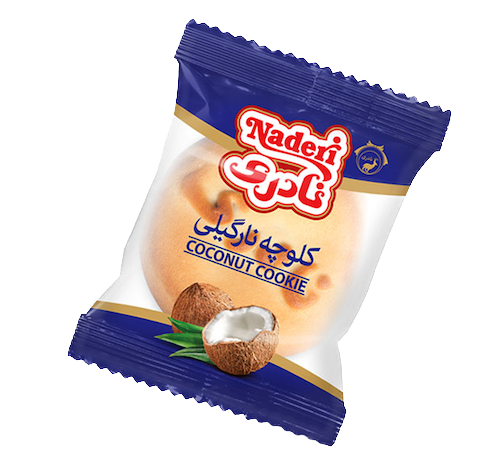 کلوچه نارگیلی نادری60گرم